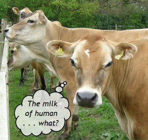 06JerseyFwdProfileByStorye_bookWC