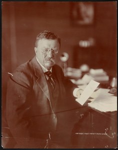 Theodore Roosevelt (1910) via Library of Congress